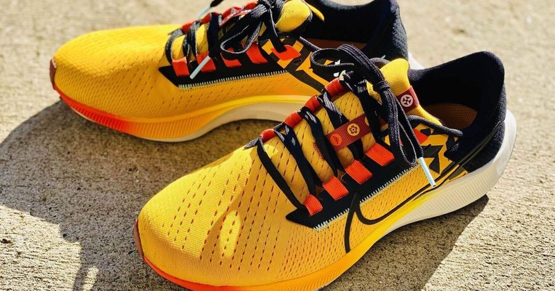NIKE ペガサス40 & NIKE インフィニティラン4どちらかではなくて