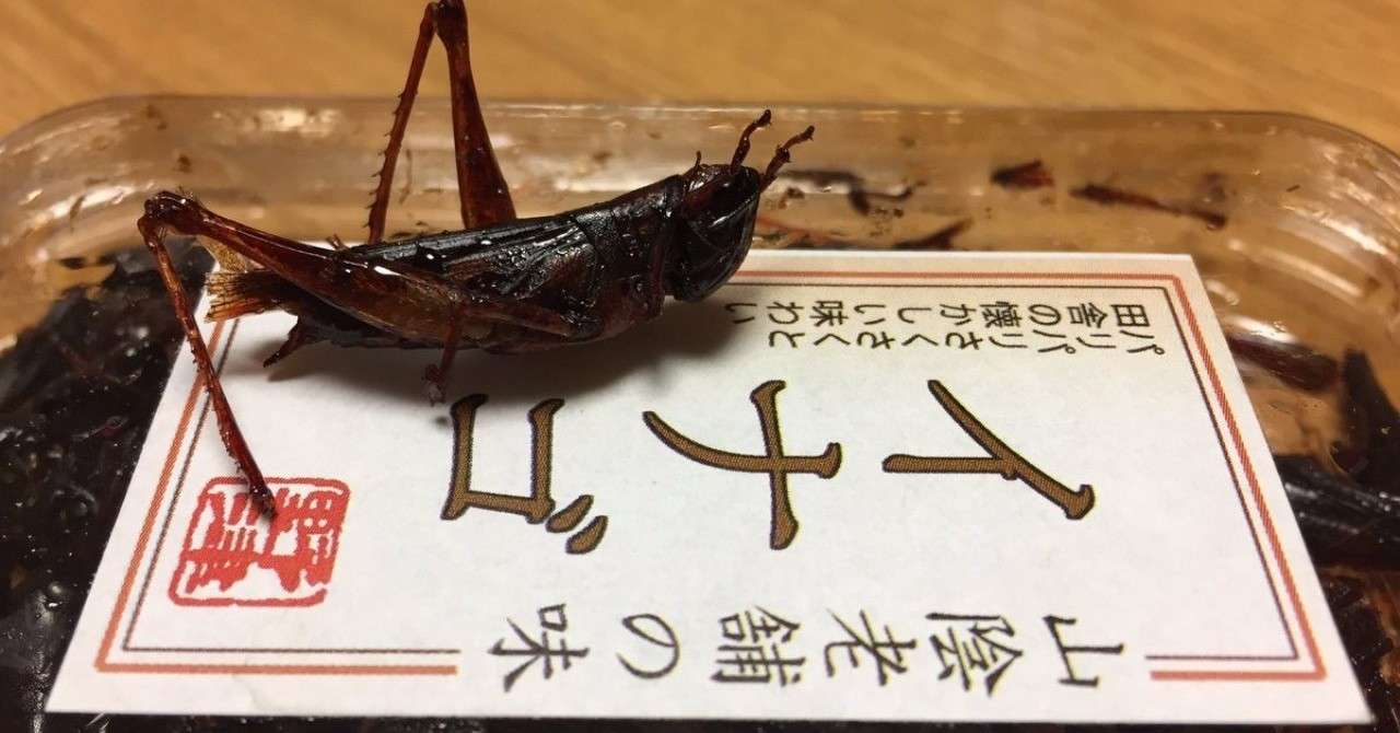 君はイナゴが食べれるか 綾子 Note