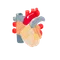 ハックルベリージャム