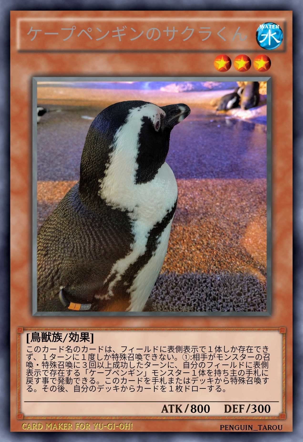 ケープペンギンをカードにしてみました ペンギン太郎 Note ケープペンギンをカードにしてみました ペンギン太郎 Note