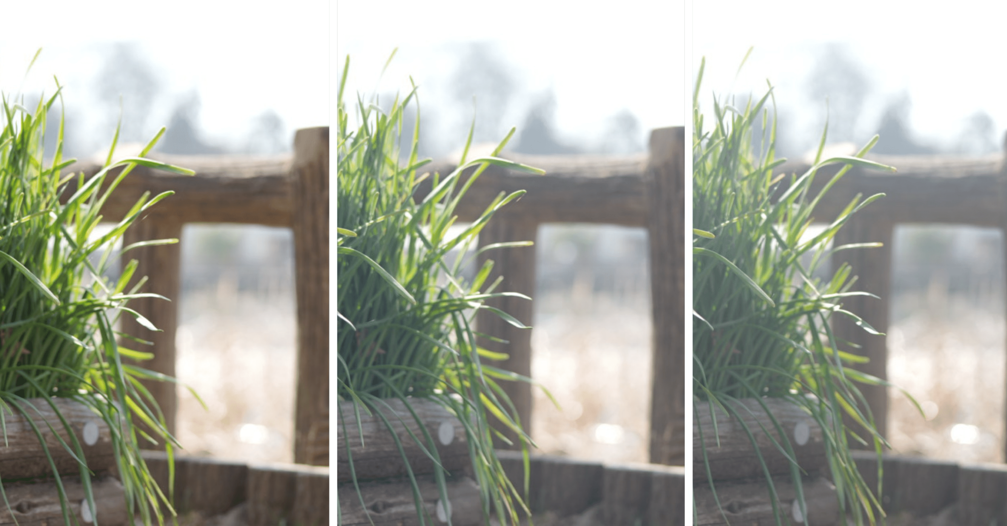 【ホワイトミスト】ポートレートにおすすめなフィルター | KANI White Mist No.3 をレビュー KANI ホワイトプレミアムミストNo.5 55mm