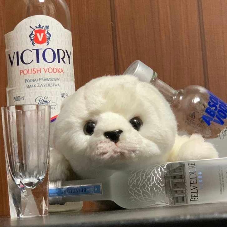 はじめに ようこそ素晴らしいウォッカの世界へ ウォッカあざらし Note