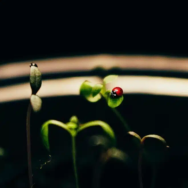 穀雨館