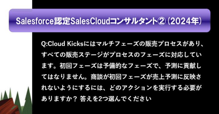 Salesforce 研修テキスト Sales Cloudコンサルタント向け Salesforce認定Data Cloudコンサルタント試験合格体験記｜株式