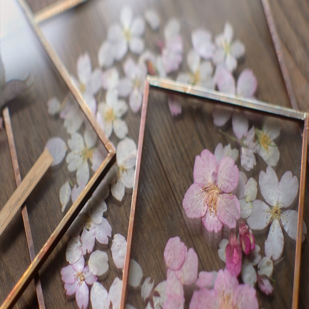 4月1日-4月30日｜はいいろオオカミ＋花屋西別府商店「いつか、どこかで