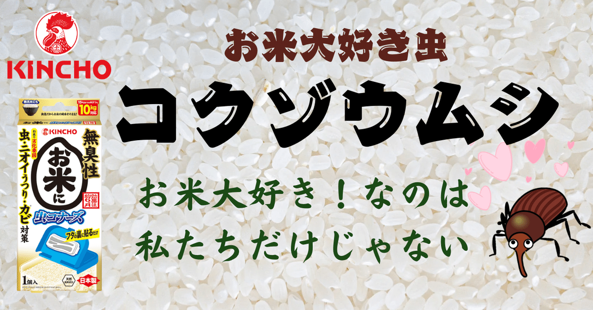 みのむし　上白精米 みのむし様専用 上白精米