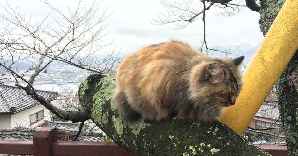 着物旅行記 着物で歩くレトロな街 尾道 広島県尾道市 さと 着物コーディネーター Note