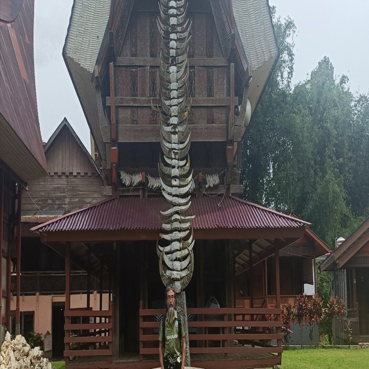 スラウェシ島の旅 タナ•トラジャ2日目｜ウダマコト | インドネシアで働く