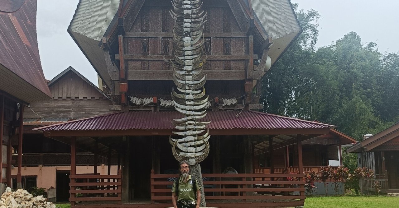 インドネシア スラウェシ島 トラジャ族のイカット7