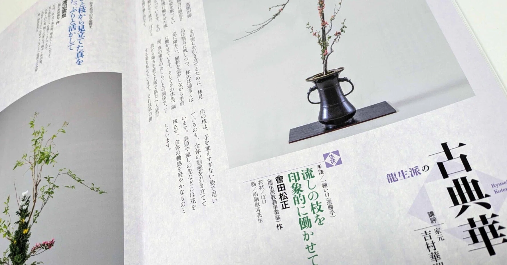 生花＝ぼけの一種いけ／立華=未央柳の真の立華（2025年4月号「龍生派の