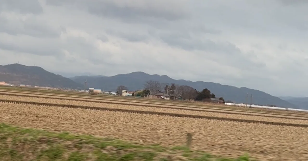 別れは寧ろ暖かい|ふっきー