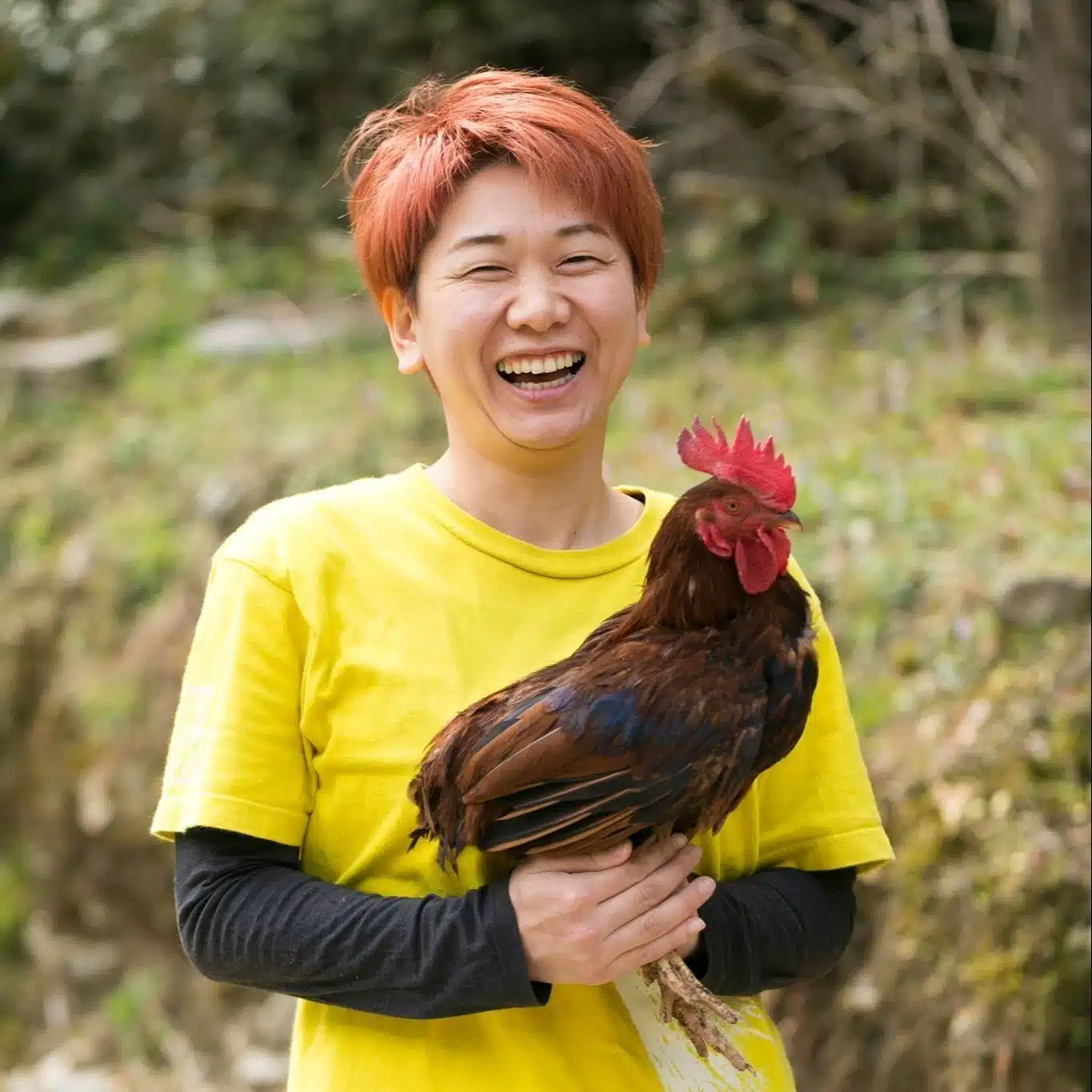 小松圭子