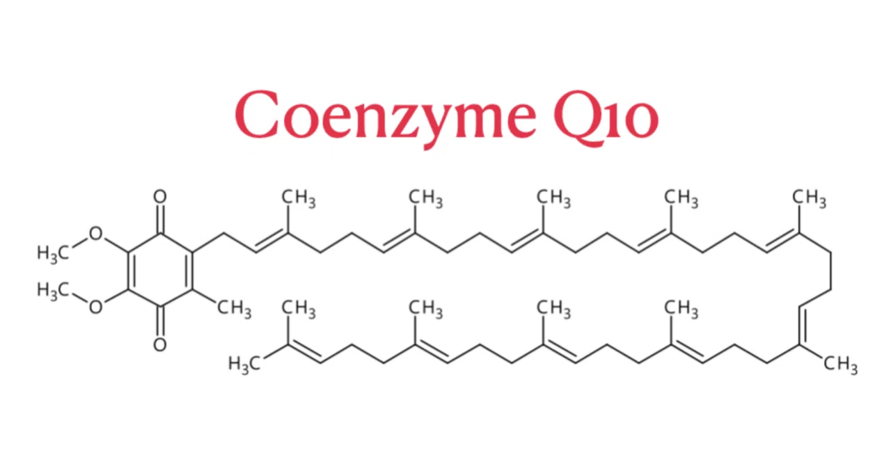 最新｜CoQ10の健康効果