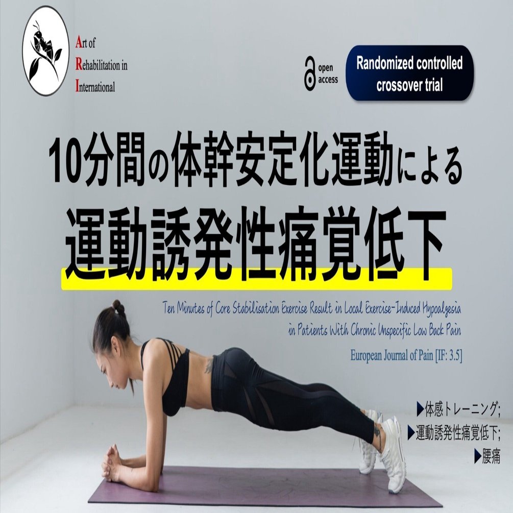 非特異的腰痛症に対する積極的安定化運動の理論と実際（全2枚