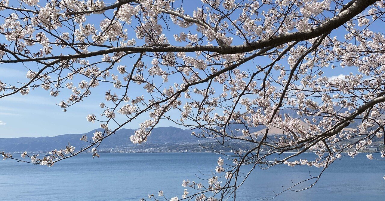 桜の開花が待ち遠しい｜癒しの波動ヒーリングK