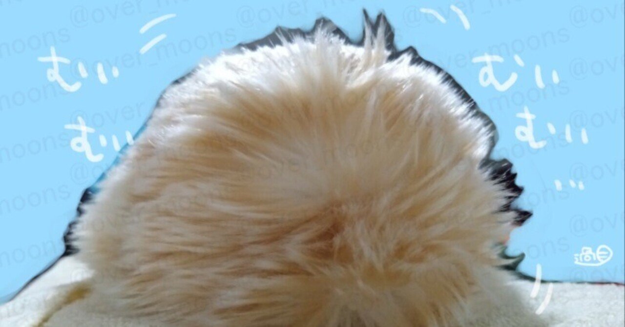 Moflin PE-H10 ぬいぐるみ 活気あふれる酉の市に今年はMoflinも参拝