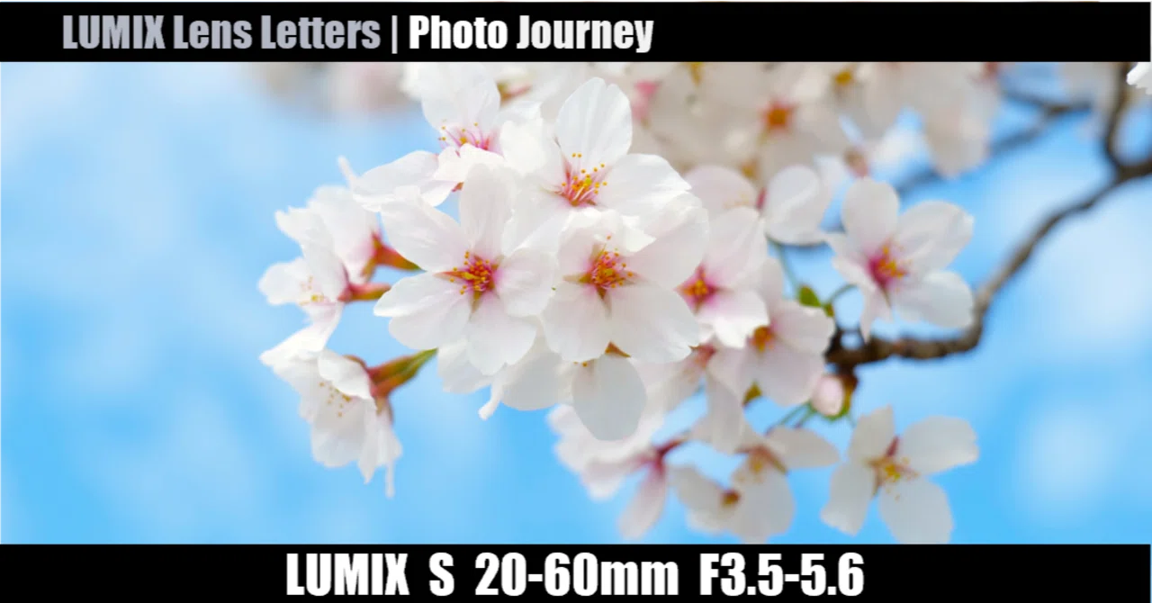LUMIX S 20-60mm F3.5-5.6 [Photo Journey #01]｜LUMIX Lens Letters