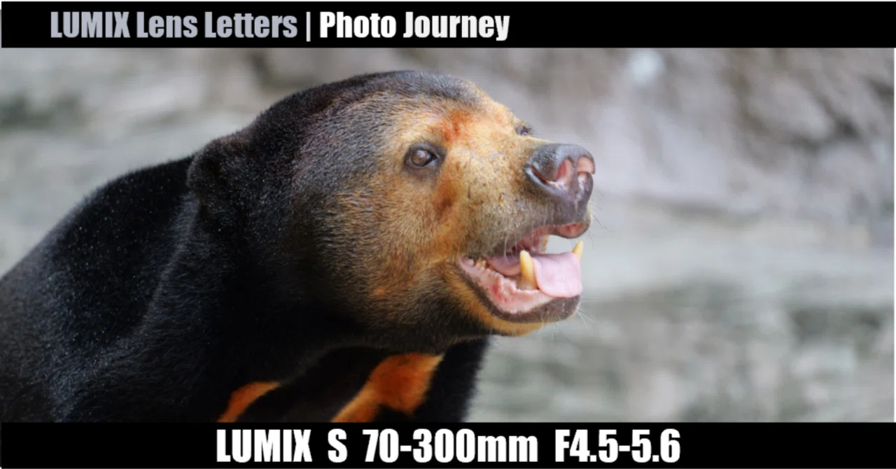 LUMIX S 70-300mm F4.5-5.6 MACRO O.I.S. 【Photo Journey #04 