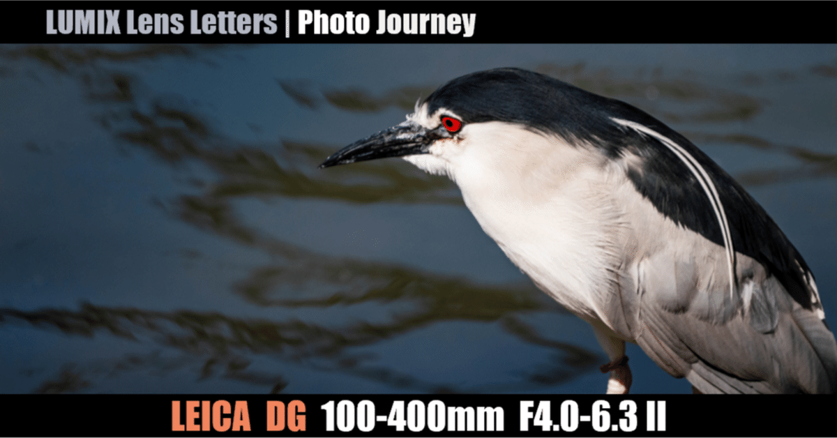 LEICA DG VARIO-ELMAR 100-400mm / F4.0-6.3 II ASPH. / POWER