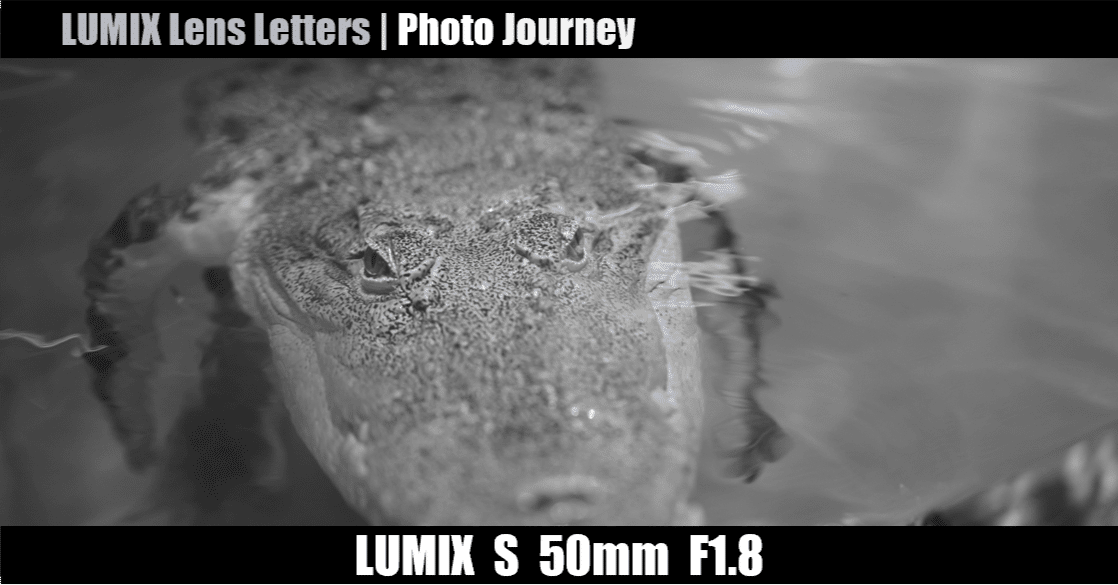 【作例あり】LUMIX 50mm F1.8 LUMIX S 50mm F1.8【Photo Journey #07】｜LUMIX Lens Letters