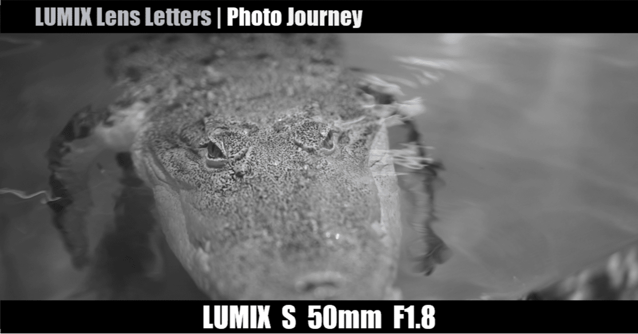 LUMIX S 50mm F1.8【Photo Journey #07】｜LUMIX Lens Letters