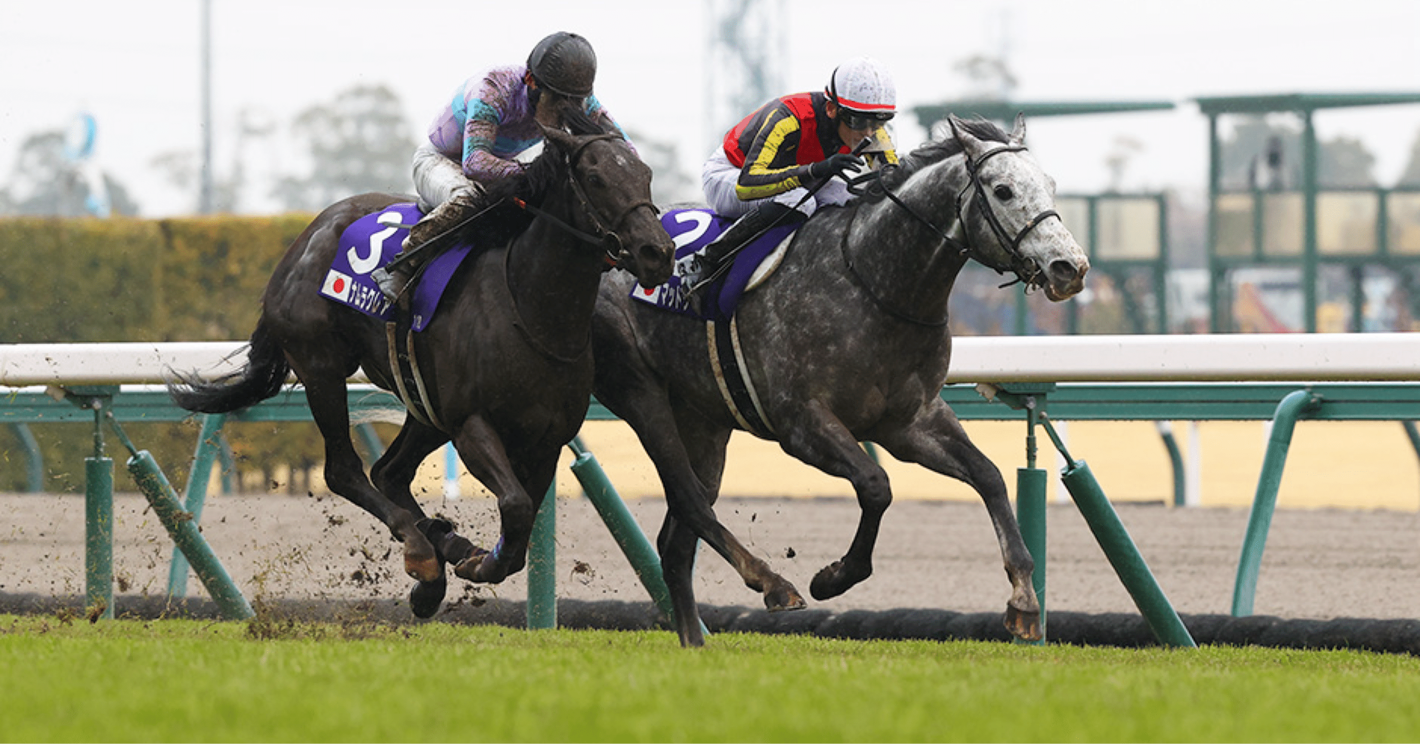 馬券　マチカネタンホイザ ウマ娘 マチカネタンホイザ 日経賞 単勝 現地馬券