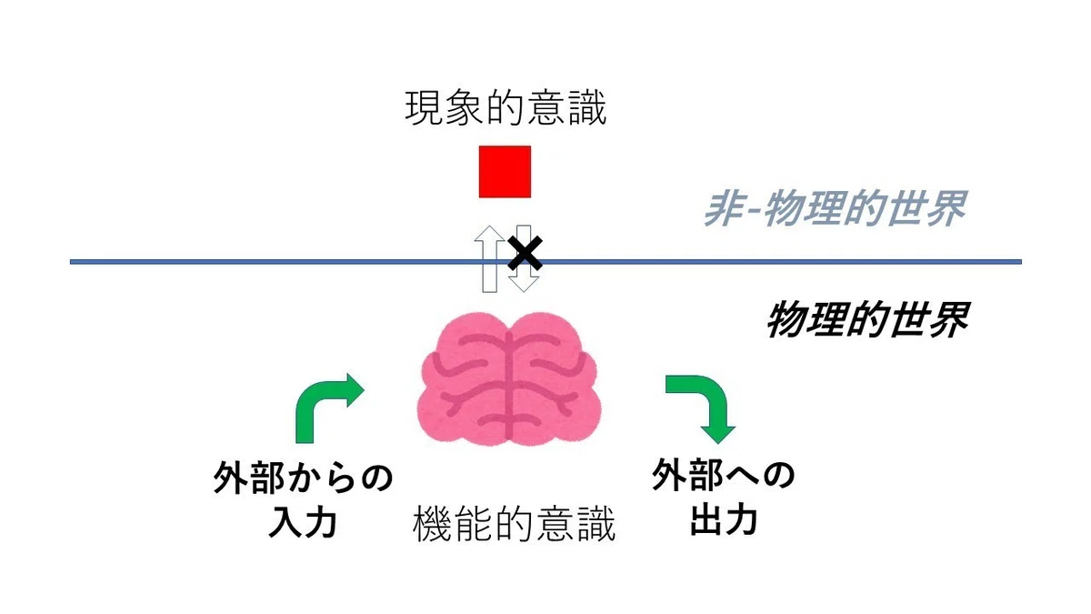 p-z 現象的意識 02