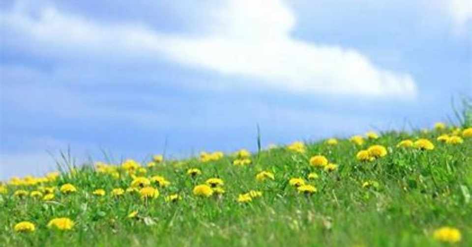 女性の味方 おすすめ飲み物 ポエミスト朱見 Note