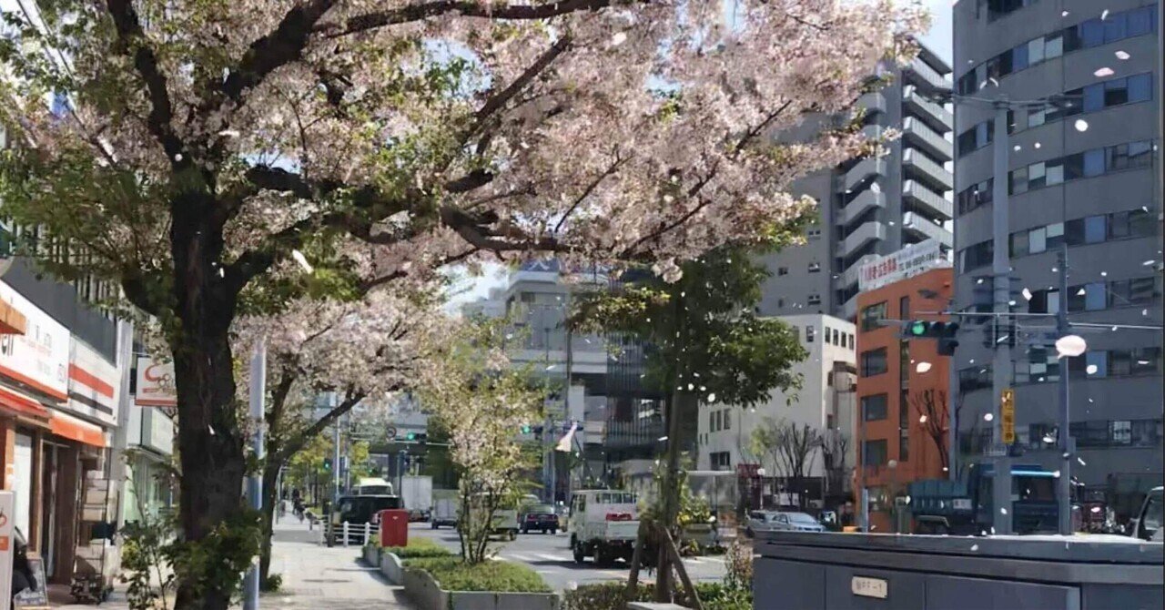 出かける人|sak.