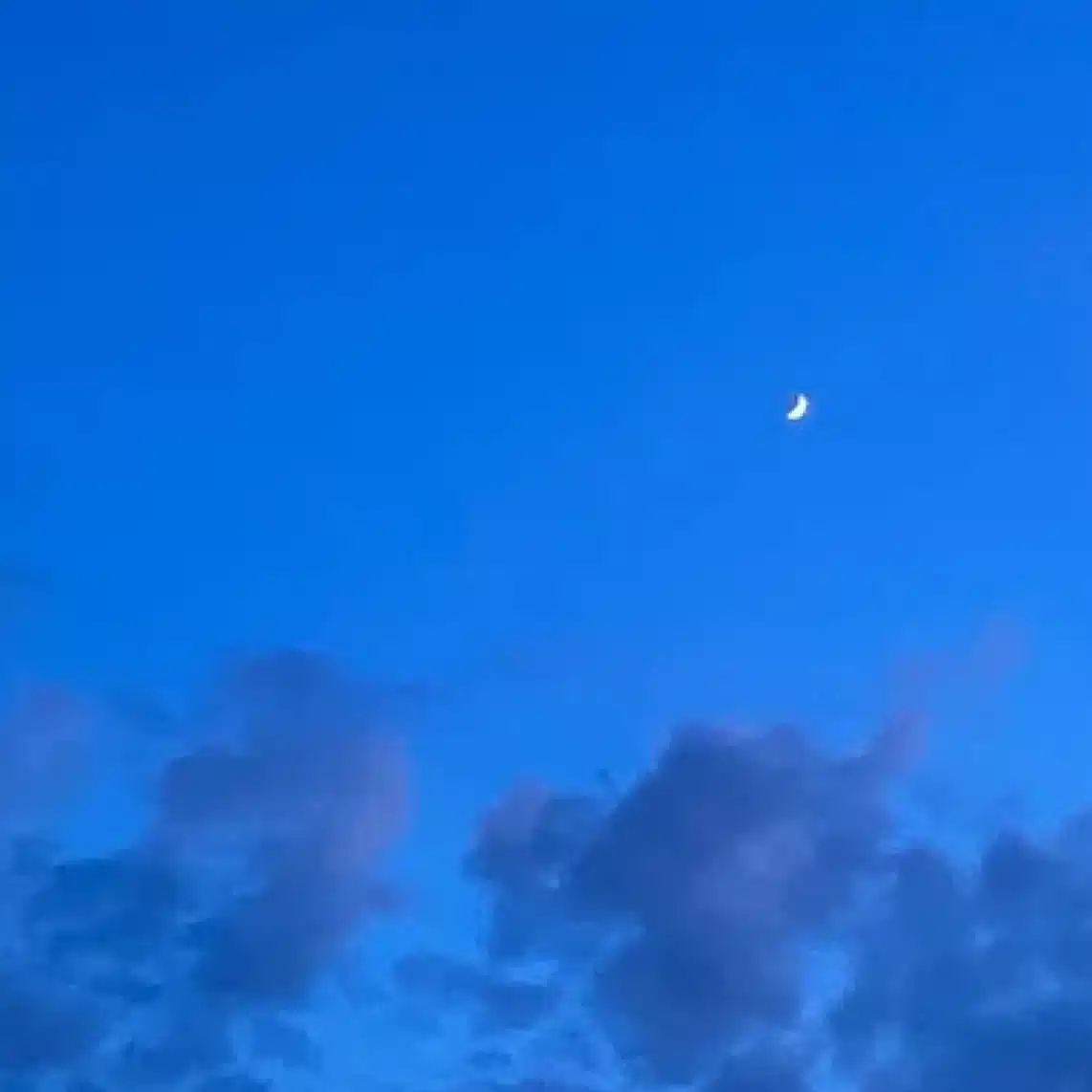 夕日