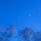 夕日