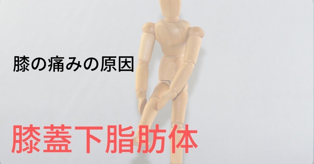膝痛や可動域制限の原因 膝蓋下脂肪体の評価 アプローチまで解説 おっしー 理学療法士note Note