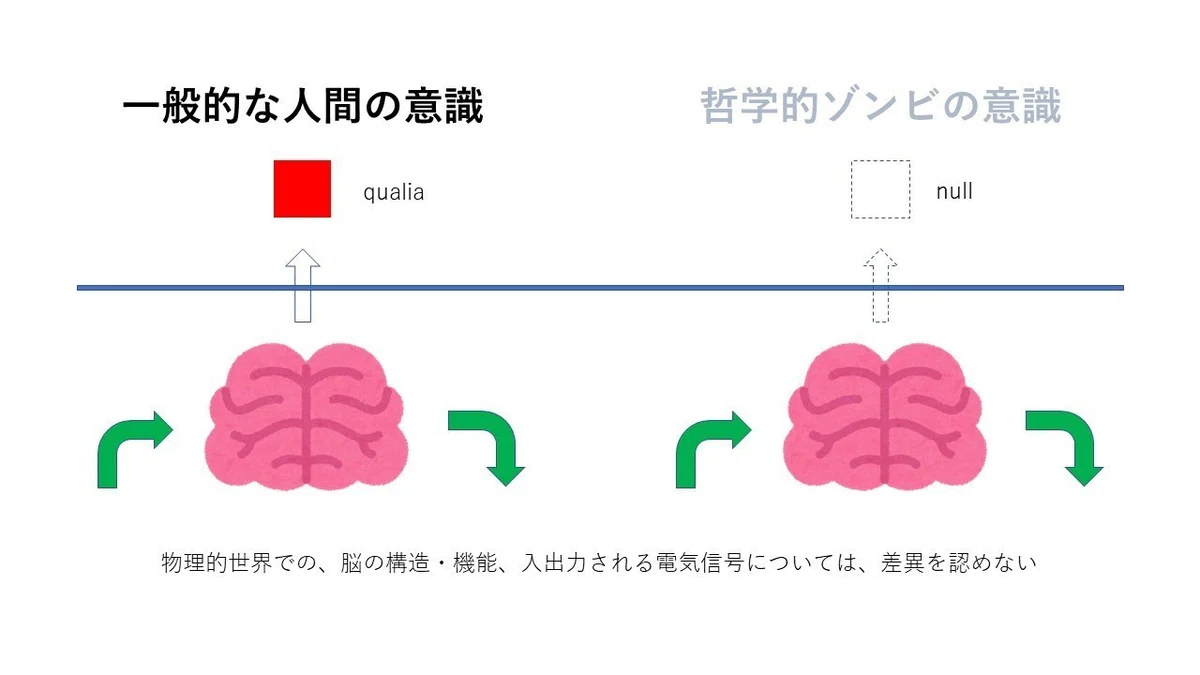 p-z 現象的意識 03
