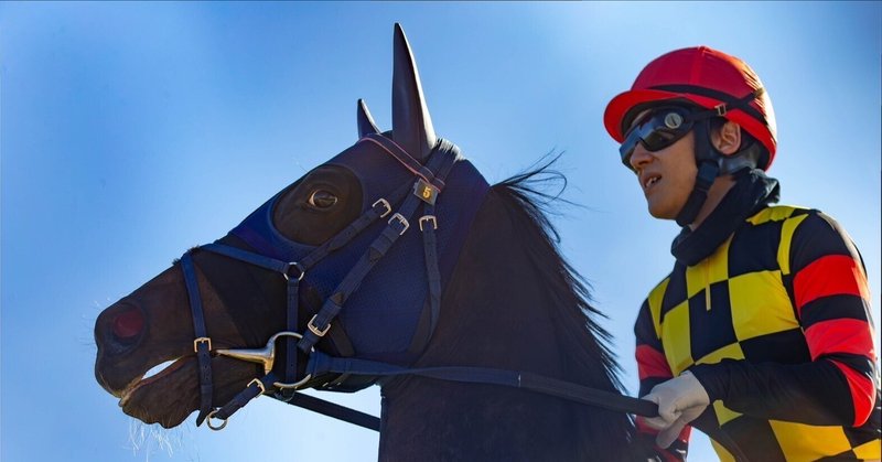 通販 激安 ☆競馬 舵 1個（クルージング ぬいぐるみ サクラハイスピード 馬 鉄腕アトム