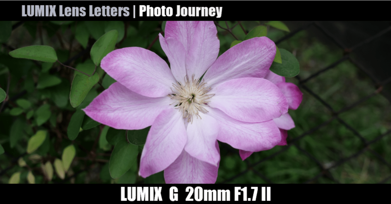 LUMIX G 20mm / F1.7 II ASPH. 【Photo Journey #11】｜LUMIX