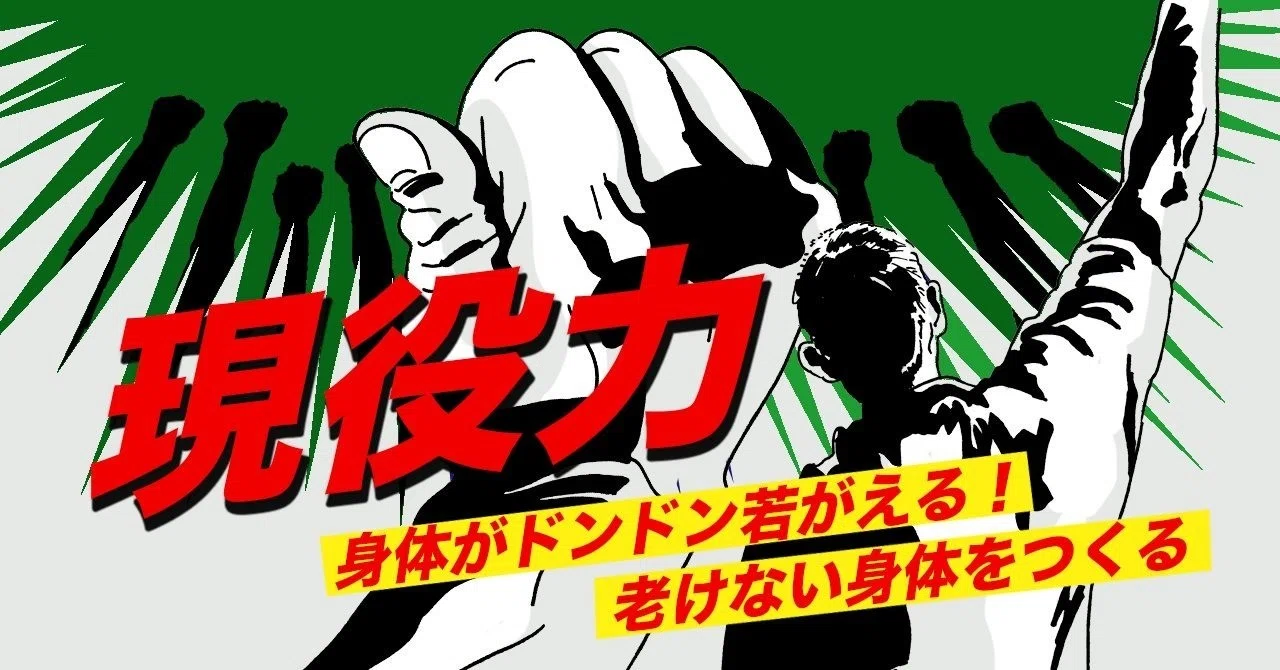 非常に良い】平直行の格闘技のおもちゃ箱 【公式通販】