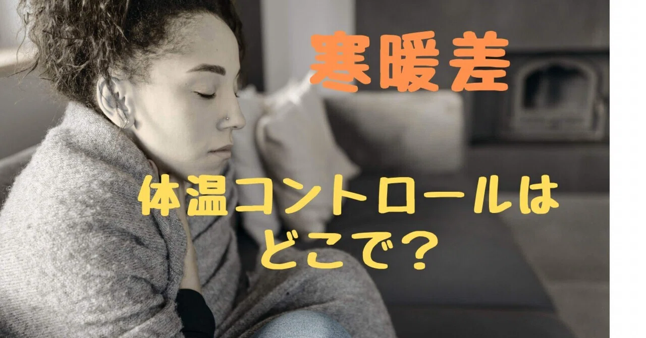 寒暖差 体温はどこでコントロールする?|温hands 芦屋/神戸/西宮 アロマトリートメント・よもぎ蒸し