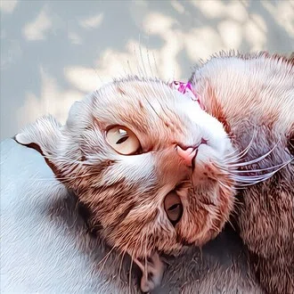 ジュラ