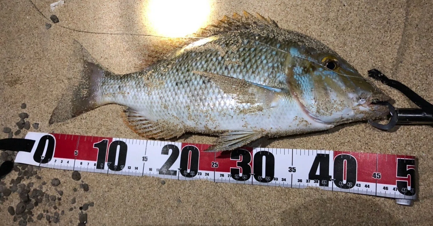 沖縄打ち込み釣り】初心者でも打ち込み釣りで高確率で大型魚を釣る方法 