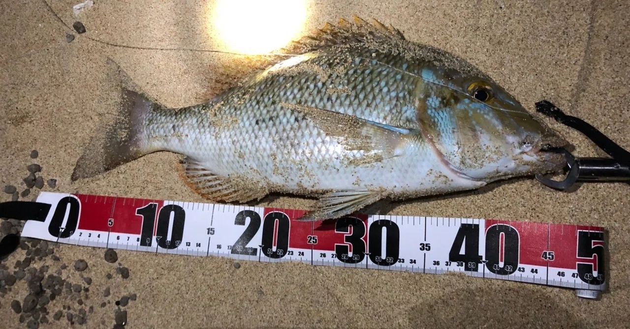 沖縄打ち込み釣り】初心者でも打ち込み釣りで高確率で大型魚を釣る方法 