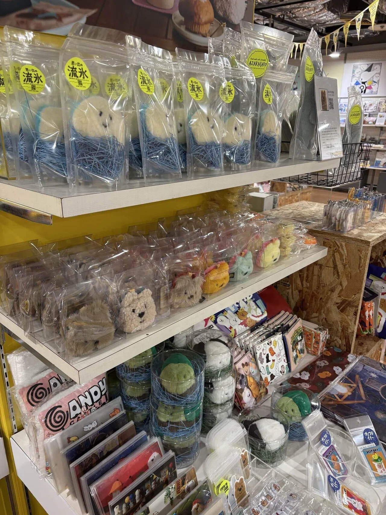 POPBOX OSAKA設営日記｜幡谷 瑛里