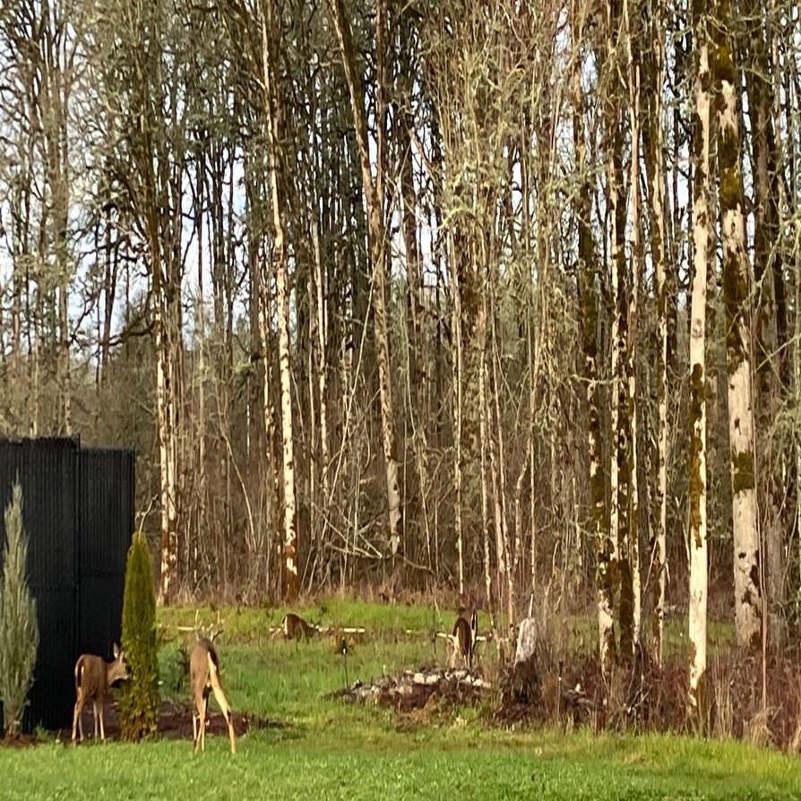 公文とenaで都立中に合格をいただいたという話②｜くぎり