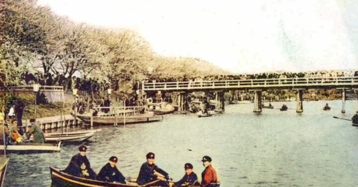 茨城百景 桜川堤と亀城公園｜zxqh7