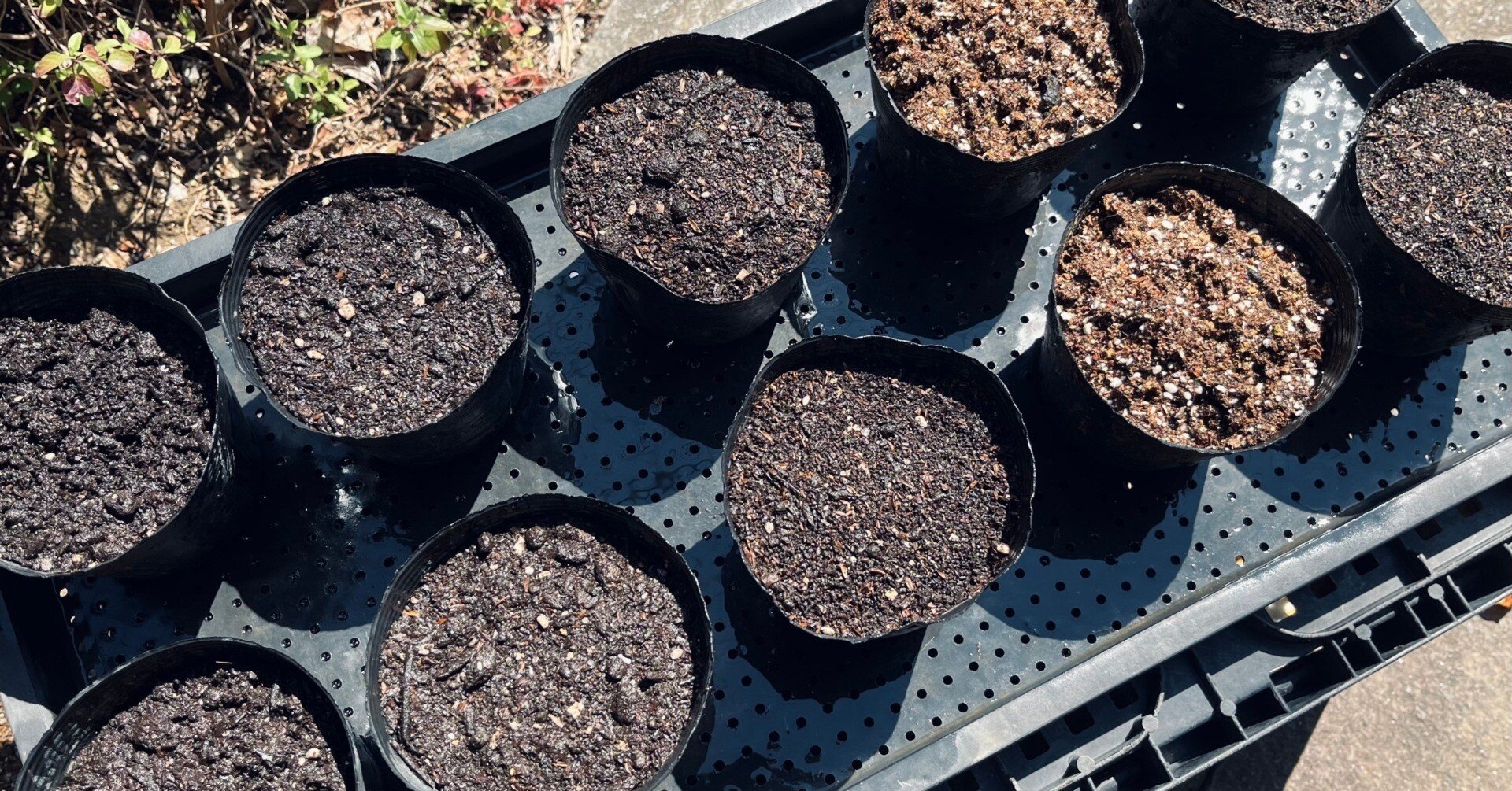 54f3623be8096259d77ac781200335