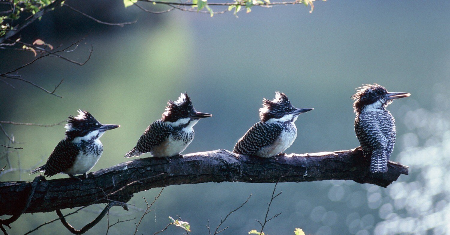 1a9830067528b835b50d810d9037df