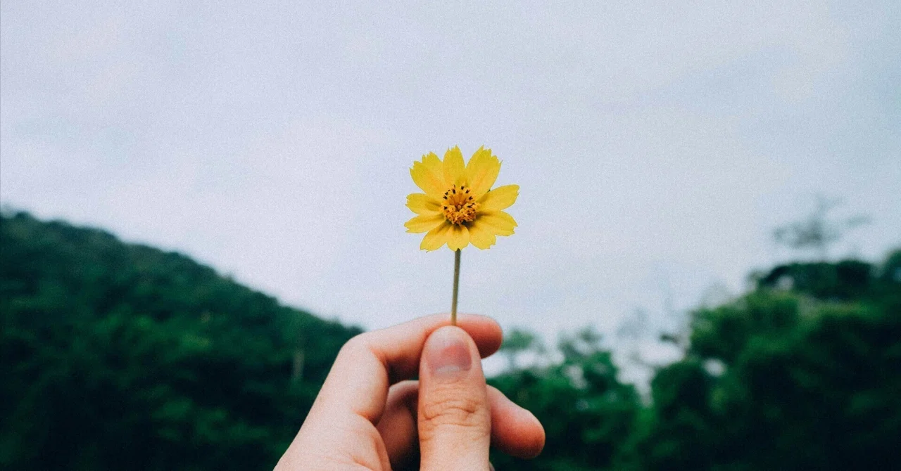 5 Mindsets to Cultivate Self-Esteem｜夢日和の暮らし🕊️🌙