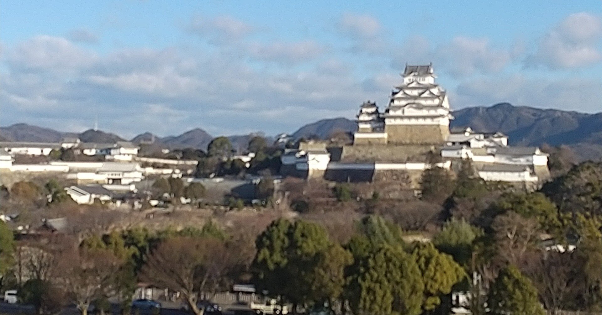 浪漫あふれる「ひめのみち」 姫路城・好古園 (姫路市) 2025 ～ 華の