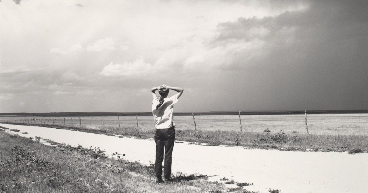 写真家ロバート・アダムス-アメリカの風景の変貌を追う｜artoday