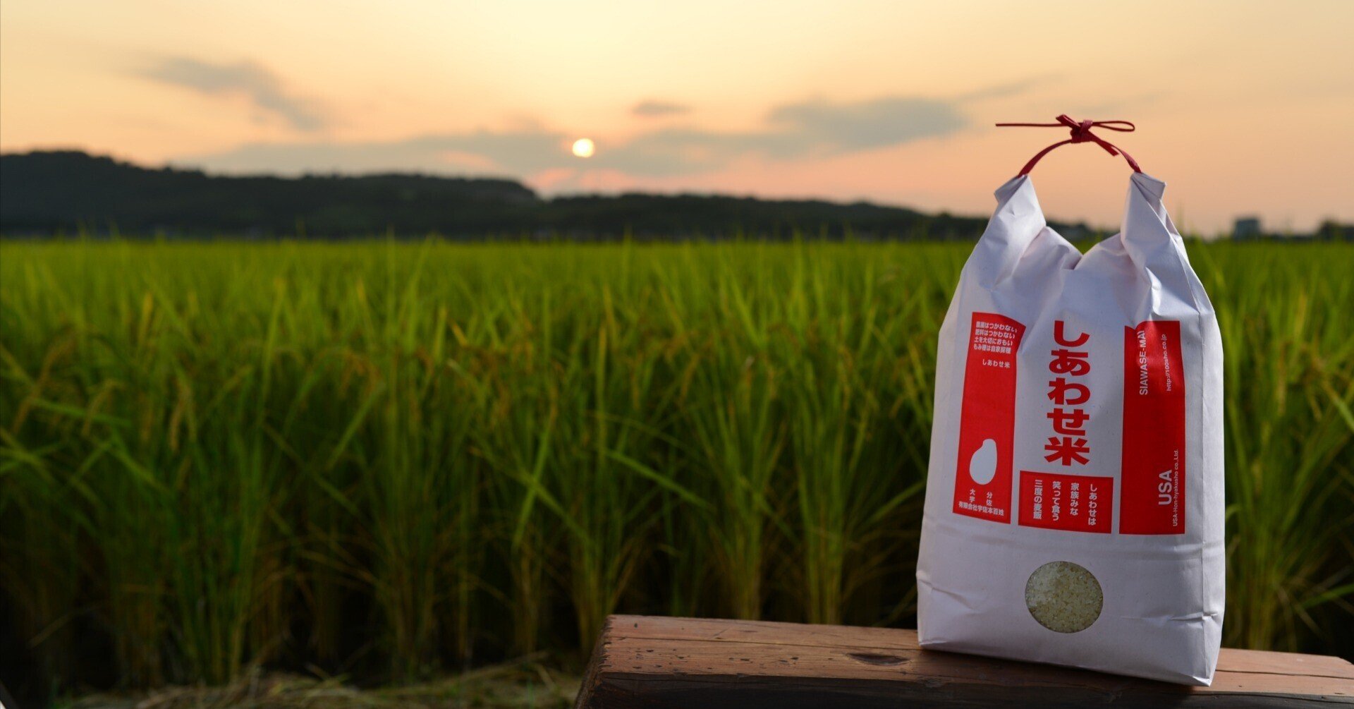 お米の価格について