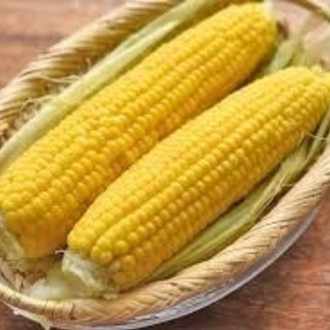 Home Sweet Cornの年のノート Note